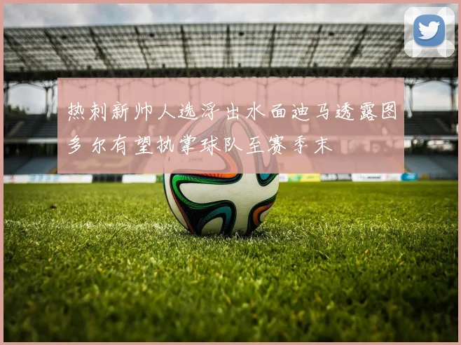 热刺新帅人选浮出水面迪马透露图多尔有望执掌球队至赛季末