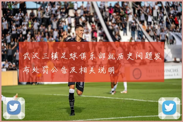 武汉三镇足球俱乐部就历史问题发布处罚公告及相关说明